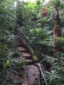 Puerto Vallarta Botanical Gardens—magical!